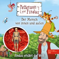 Findus erklärt die Welt: Der Mensch von innen und außen