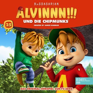 Folge 25 (Das Original-Hörspiel zur TV-Serie) als Hörbuch