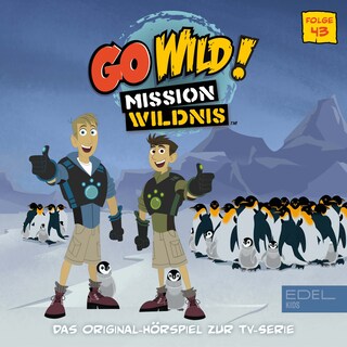 Folge 43: Das Rätsel der Nordpol-Pinguine / Der Tempel der Tiger (Das Original-Hörspiel zur TV-Serie) als Hörbuch