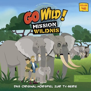Folge 46: Wildponys / Elefantengedächtnis (Das Original-Hörspiel zur TV-Serie) als Hörbuch