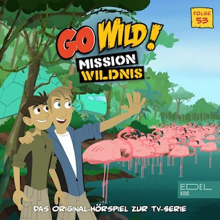 Folge 53: Auf der Suche nach dem Osterhasen / Das Rätsel der rosa Flamingos (Das Original-Hörspiel zur TV-Serie) als Hörbuch