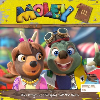 Folge 1 (Das Original-Hörspiel zur TV-Serie) als Hörbuch