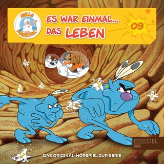 Folge 9: Uns gibt's zweimal - Die Nieren / Der große Strom - Das Lymphsystem (Das Original-Hörspiel zur Serie) als Hörbuch