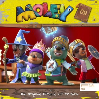 Folge 9 (Das Original-Hörspiel zur TV-Serie) als Hörbuch