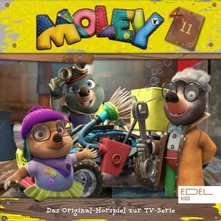 Folge 11 (Das Original-Hörspiel zur TV-Serie) als Hörbuch