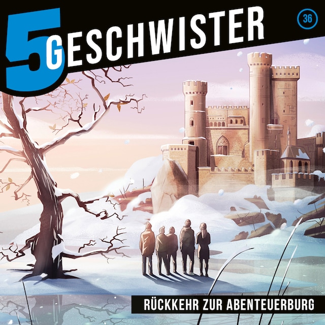 Book cover for 36: Rückkehr zur Abenteuerburg