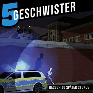 Besuch zu später Stunde als Hörbuch