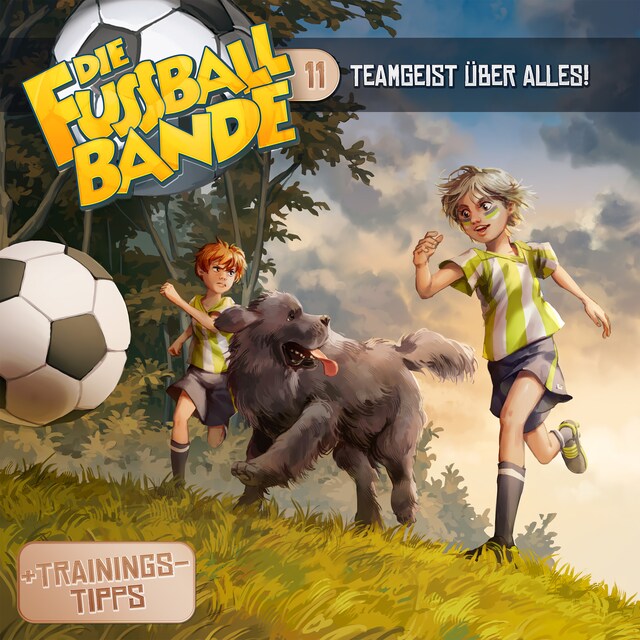 Book cover for Die Fussballbande, Folge 11: Teamgeist über alles!