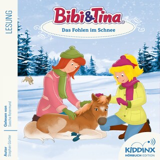 Das Fohlen im Schnee - Bibi & Tina - Hörbuch, Folge 9 (Ungekürzt) als Hörbuch