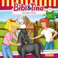 Bibi & Tina, Folge 39: Das Findel-Fohlen