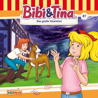 Bibi & Tina, Folge 87: Das große Unwetter als Hörbuch