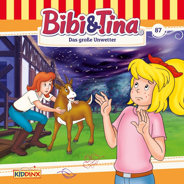 Book cover for Bibi & Tina, Folge 87: Das große Unwetter
