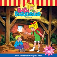 Bibi Blocksberg, Folge 25: Bibi reißt aus