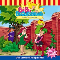 Bibi Blocksberg, Folge 77: Bibi im Hexeninternat