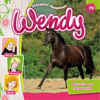 Wendy, Folge 79: Besuch aus Norwegen
