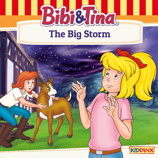 Book cover for Bibi and Tina, The Big Storm