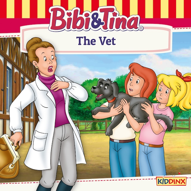 Copertina del libro per Bibi and Tina, The Vet