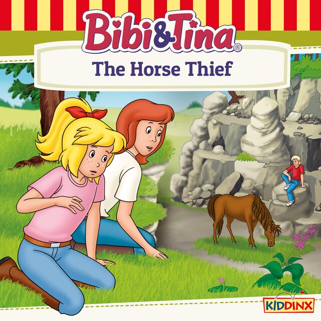 Book cover for Bibi and Tina, The Horse Thief