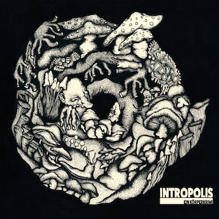 Intropolis - ein Körperkrimi als Hörbuch