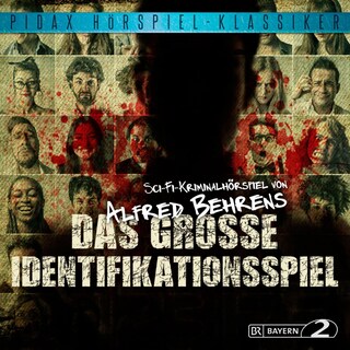 Das große Identifikationsspiel als Hörbuch