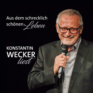 Aus dem schrecklich schönen Leben als Hörbuch
