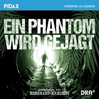 Ein Phantom wird gejagt als Hörbuch