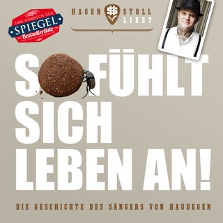 So fühlt sich Leben an - Die Geschichte des Sängers von Haudegen als Hörbuch