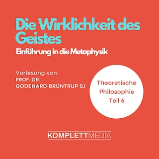 Die Wirklichkeit des Geistes als Hörbuch