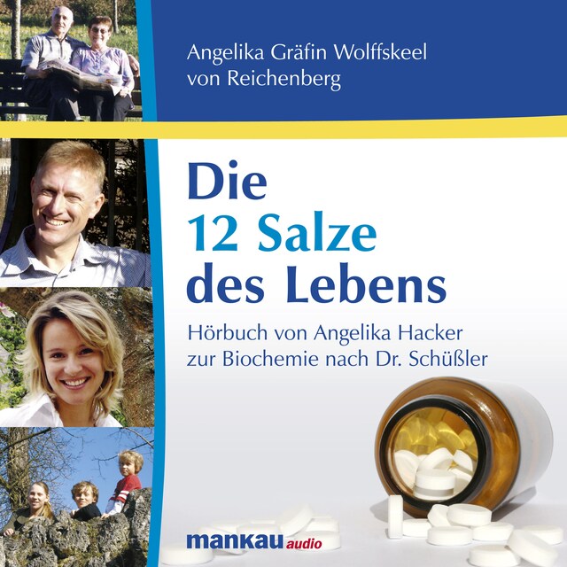 Book cover for Die 12 Salze des Lebens