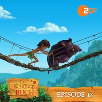 Episode 13: Ein wahrer Held (Das Original Hörspiel zur TV Serie)
