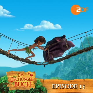 Episode 13: Ein wahrer Held (Das Original Hörspiel zur TV Serie) als Hörbuch