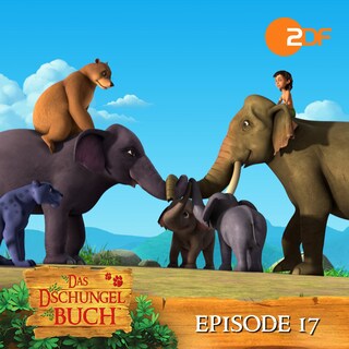 Episode 17: Hathis Verwirrung (Das Original Hörspiel zur TV Serie) als Hörbuch