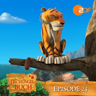 Episode 23: Meister Kaa (Das Original Hörspiel zur TV Serie) als Hörbuch
