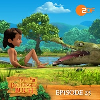 Episode 25: Reingelegt! (Das Original Hörspiel zur TV Serie)