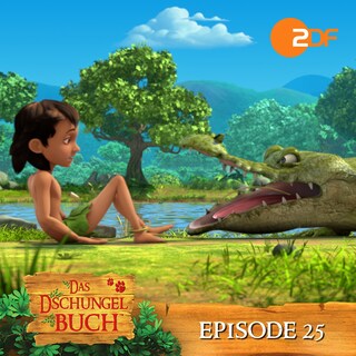 Episode 25: Reingelegt! (Das Original Hörspiel zur TV Serie) als Hörbuch
