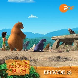 Episode 26: Doppeltes Spiel (Das Original Hörspiel zur TV Serie) als Hörbuch