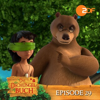 Episode 29: Plötzlich blind (Das Original Hörspiel zur TV Serie) als Hörbuch