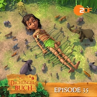 Episode 35: Kleine Plagegeister (Das Original Hörspiel zur TV Serie)