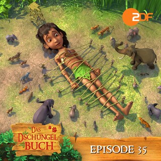 Episode 35: Kleine Plagegeister (Das Original Hörspiel zur TV Serie) als Hörbuch