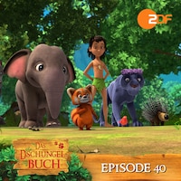 Episode 40: Wo ist der Teamgeist? (Das Original Hörspiel zur TV Serie)