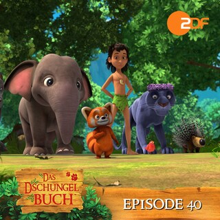 Episode 40: Wo ist der Teamgeist? (Das Original Hörspiel zur TV Serie) als Hörbuch