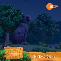 Episode 41: Sternenbilder-Lektion (Das Original Hörspiel zur TV Serie)