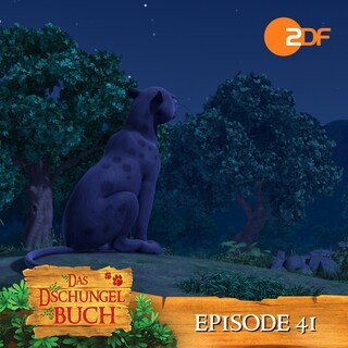 Episode 41: Sternenbilder-Lektion (Das Original Hörspiel zur TV Serie) als Hörbuch