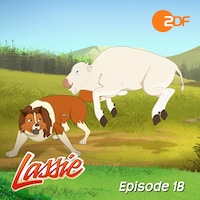 Episode 18: Kleiner Büffel - Großes Wunder