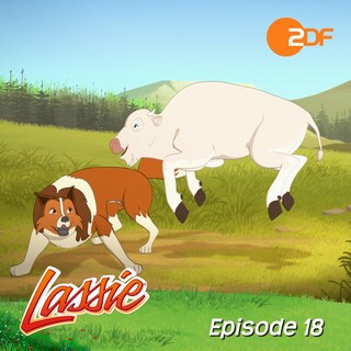 Episode 18: Kleiner Büffel - Großes Wunder als Hörbuch