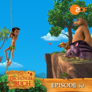 Episode 50: Fortsetzung folgt (Das Original Hörspiel zur TV Serie) als Hörbuch