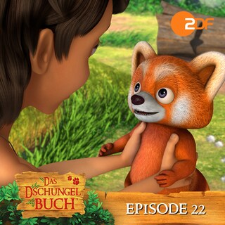 Episode 22: Weiße Flocken (Das Original Hörspiel zur TV Serie) als Hörbuch