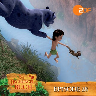 Episode 28: Der falsche Kranke (Das Original Hörspiel zur TV Serie) als Hörbuch