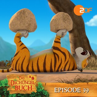Episode 39: Ein neuer Meister (Das Original Hörspiel zur TV Serie) als Hörbuch