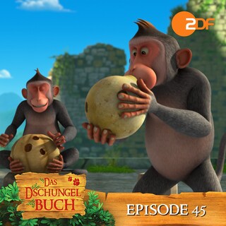 Episode 45: Dschungelparty (Das Original Hörspiel zur TV Serie) als Hörbuch